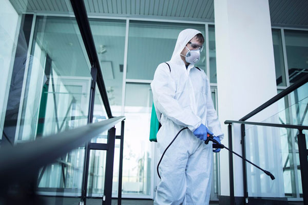 SEO For Pest Control Business Abu Dhabi